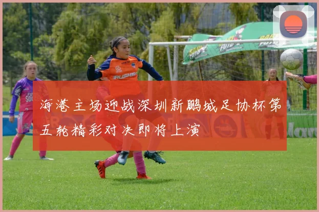 海港主场迎战深圳新鹏城足协杯第五轮精彩对决即将上演
